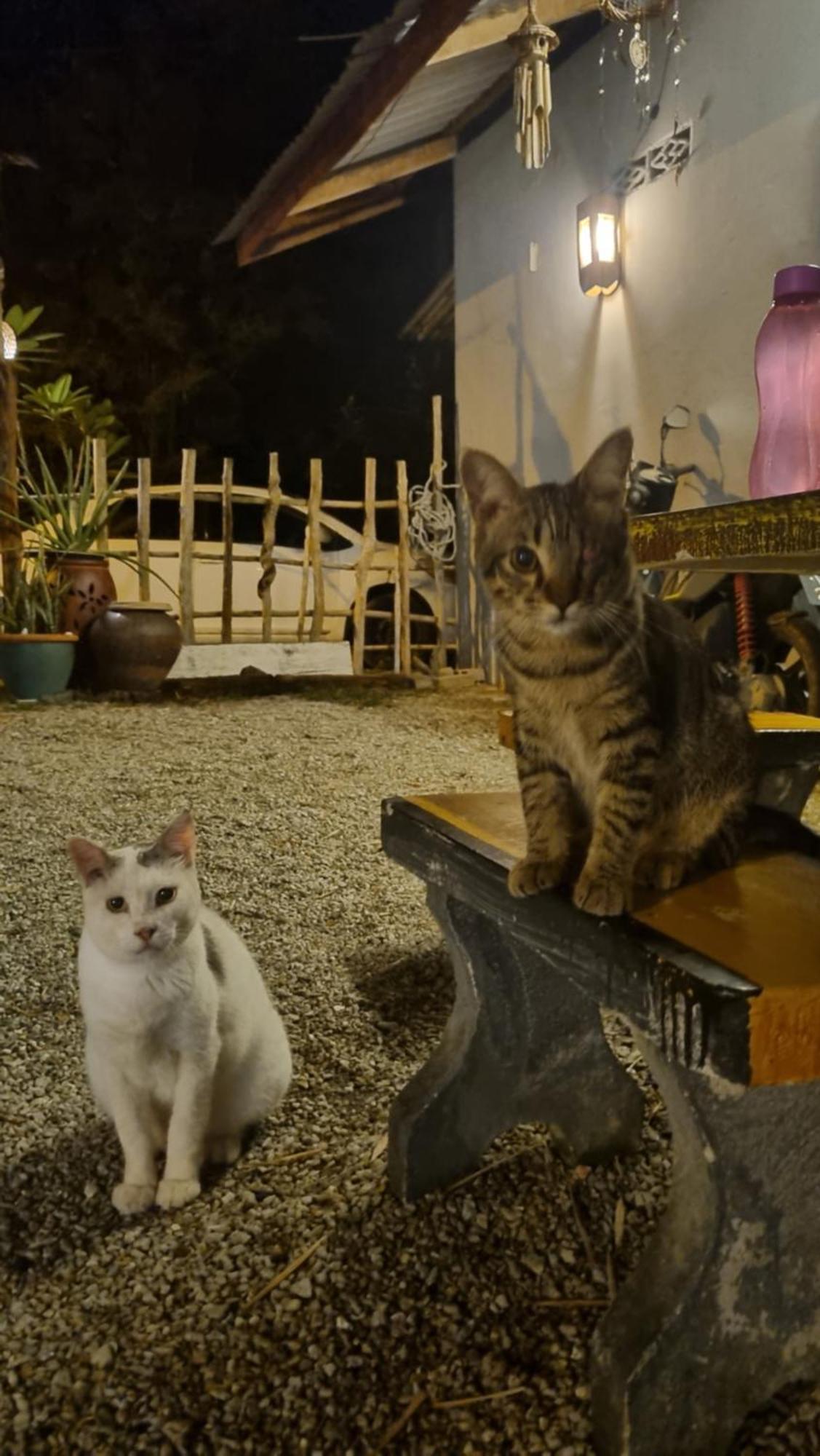 Seven Stones Langkawi Bed & Breakfast Пантай Ченанг Екстериор снимка